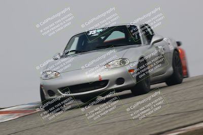 media/Nov-21-2025-Audi Club (Fri) [[8110d52e1e]]/Open Track Photos/3 Grapevine/